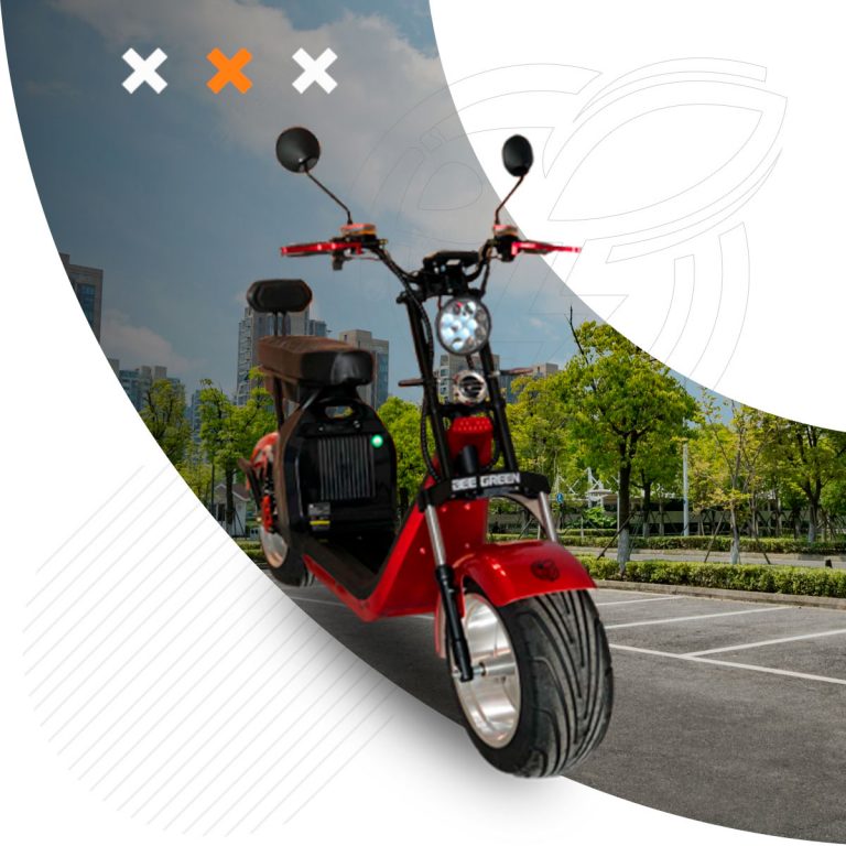 Bee Green Pró Basic Bee Green Bikes